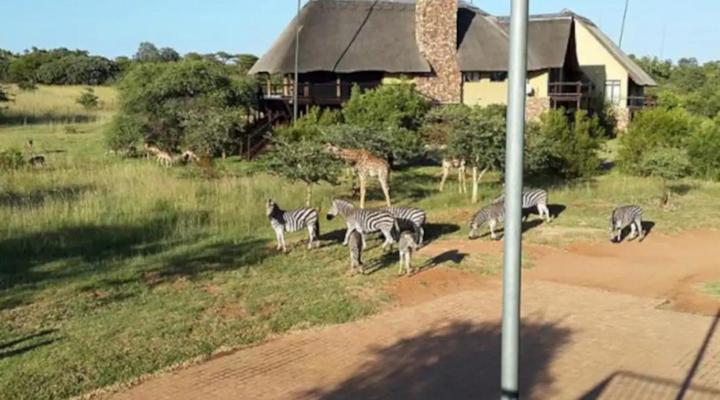 Moi Signature Luxury Villa's - Zebula Golf and Wildlife Estate