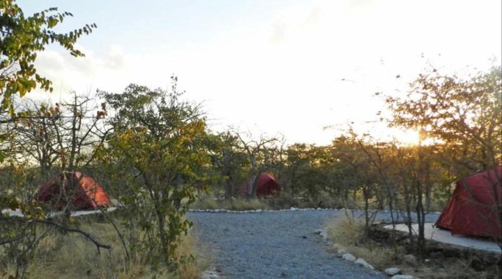 Mopane Village Lodge