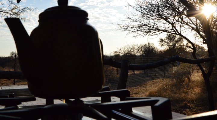 Thorn Tree Bush Camp - Accommodation
