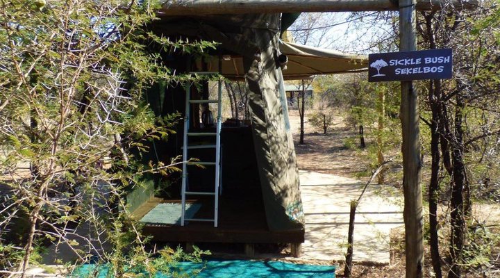 Thorn Tree Bush Camp - Accommodation