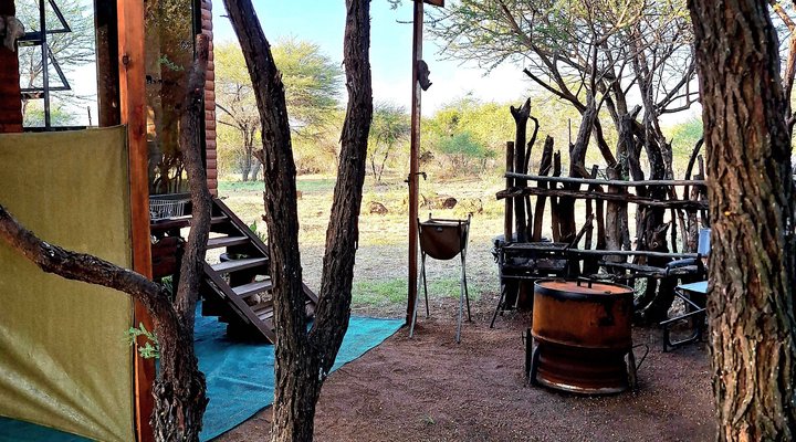 Thorn Tree Bush Camp - Accommodation