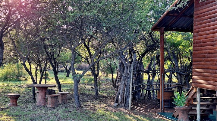 Thorn Tree Bush Camp - Accommodation