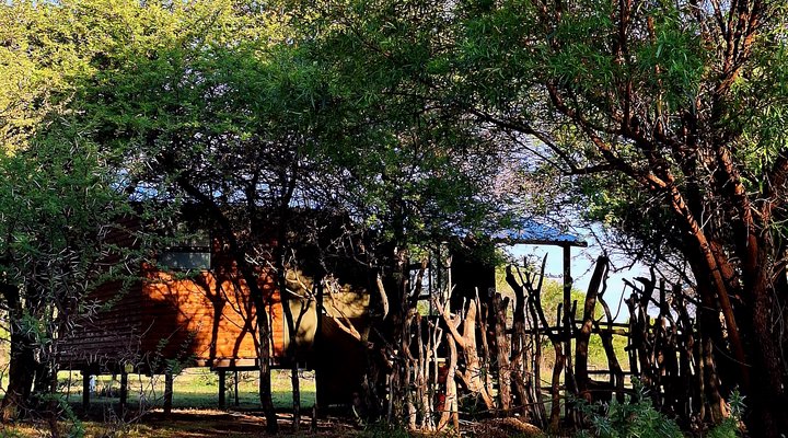 Thorn Tree Bush Camp - Accommodation