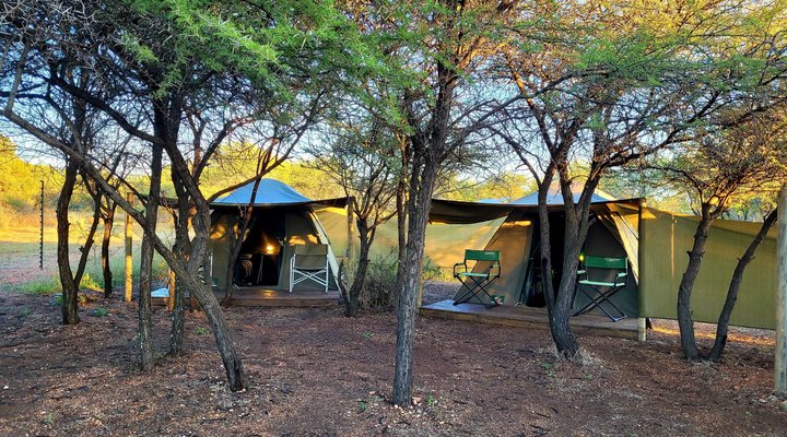 Thorn Tree Bush Camp - Accommodation