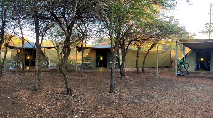 Thorn Tree Bush Camp - Accommodation