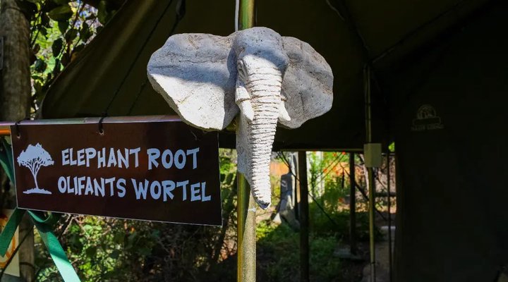 Thorn Tree Bush Camp - Accommodation