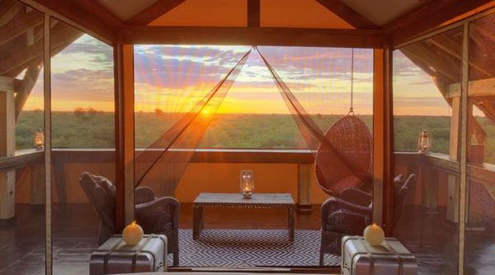 The Lodge at Feline Fields