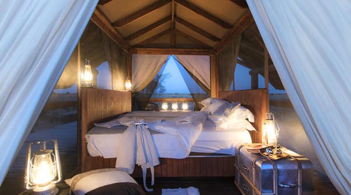 The Lodge at Feline Fields