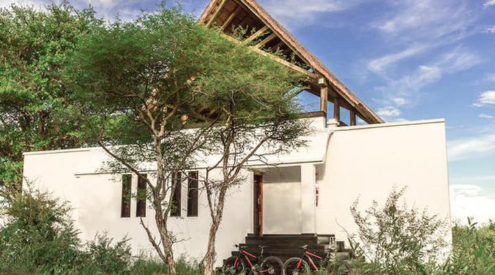 The Lodge at Feline Fields