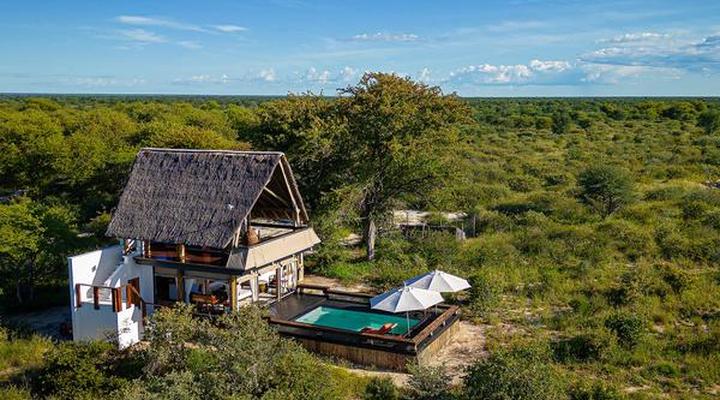 The Lodge at Feline Fields