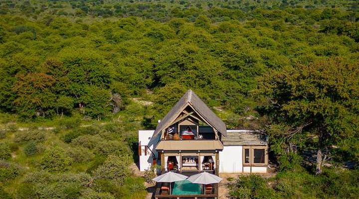 The Lodge at Feline Fields