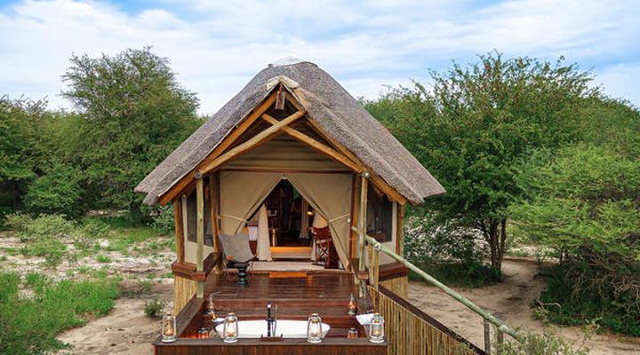 The Lodge at Feline Fields