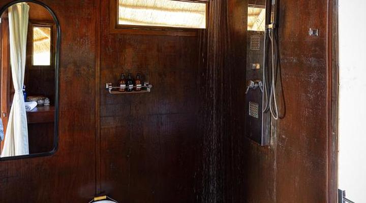 The Lodge at Feline Fields