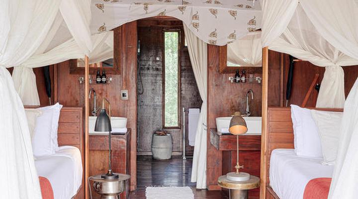 The Lodge at Feline Fields