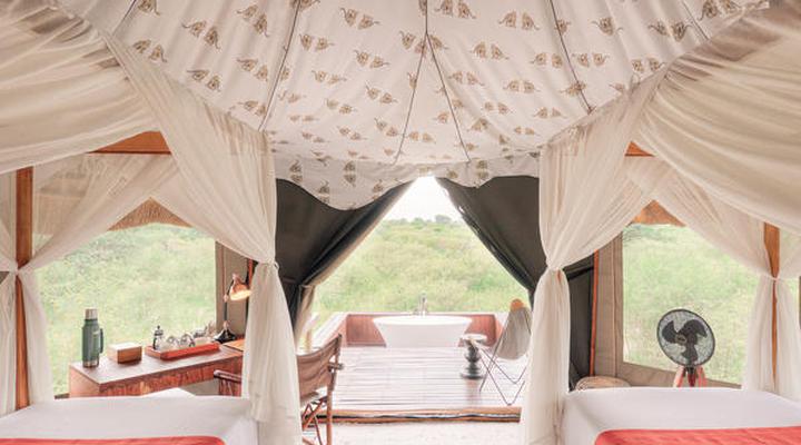 The Lodge at Feline Fields