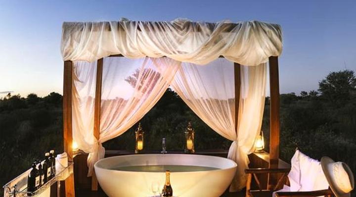 The Lodge at Feline Fields