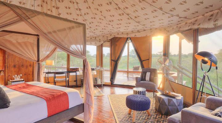 The Lodge at Feline Fields