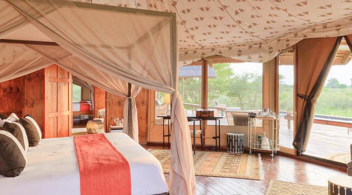 The Lodge at Feline Fields