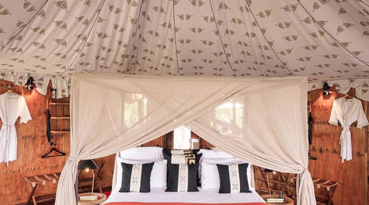 The Lodge at Feline Fields