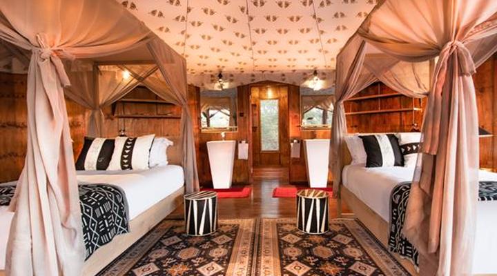 The Lodge at Feline Fields