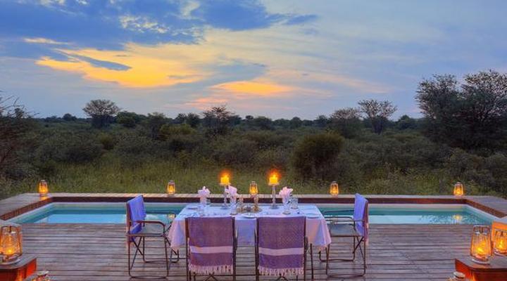 The Lodge at Feline Fields