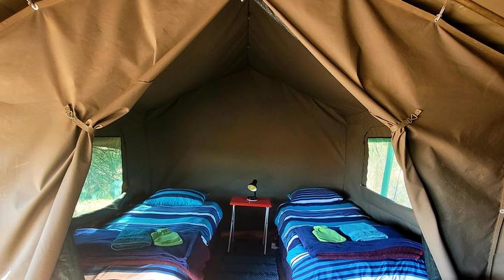 Thorn Tree Bush Camp - Tented camps and cabins