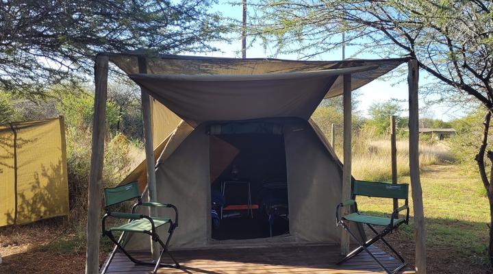 Thorn Tree Bush Camp - Tented camps and cabins