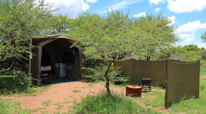 Thorn Tree Bush Camp - Tented camps and cabins