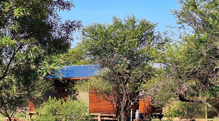 Thorn Tree Bush Camp - Tented camps and cabins
