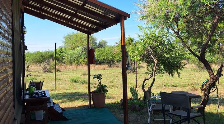 Thorn Tree Bush Camp - Tented camps and cabins