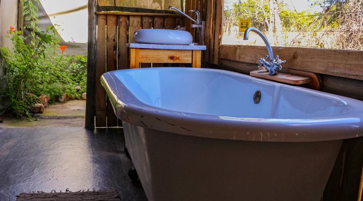 Thorn Tree Bush Camp - Tented camps and cabins