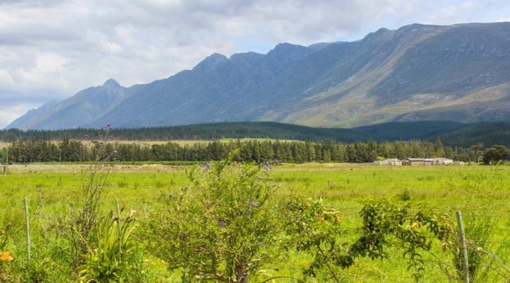 Swallow Creek Cottages