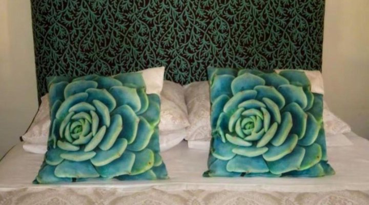 Starry Nights Guest House