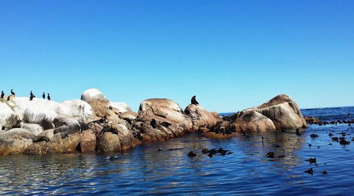 Caelis Place - Private Nature Reserve