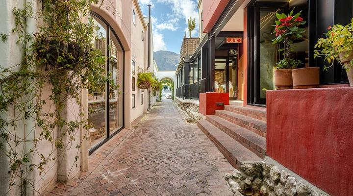 Los Olivos at the Yard