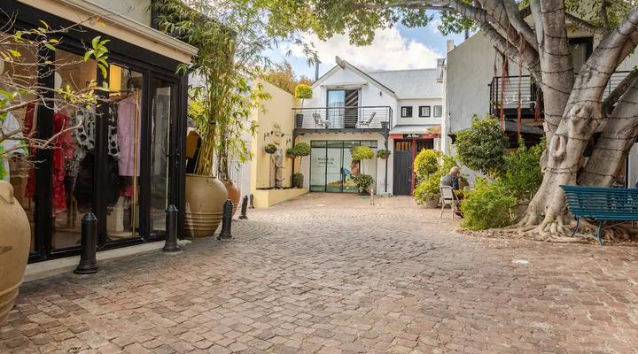 Los Olivos at the Yard