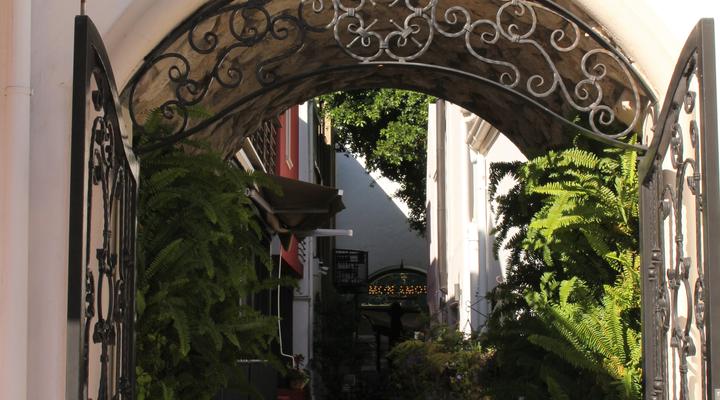 Los Olivos at the Yard