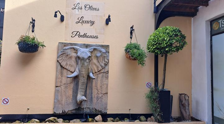 Los Olivos at the Yard