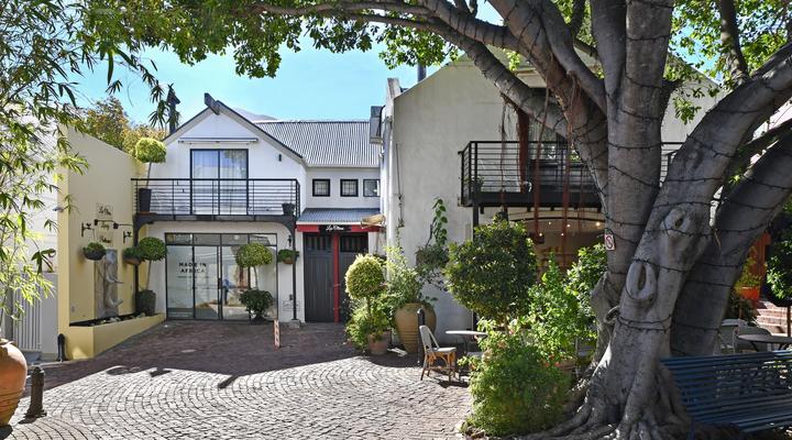 Los Olivos at the Yard