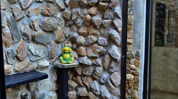 Foxy Crocodile Bush Lodge & Kruger Safaris