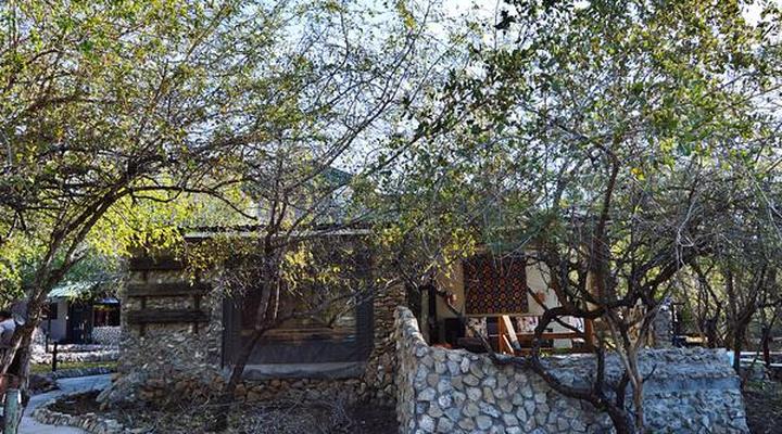 Foxy Crocodile Bush Lodge & Kruger Safaris