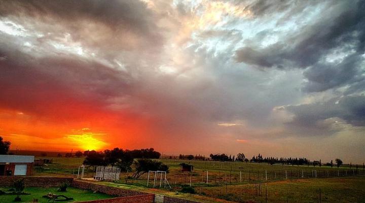 Zanchieta Wildlife Rescue and Lodge