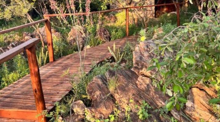 Bush Paradise Vacations