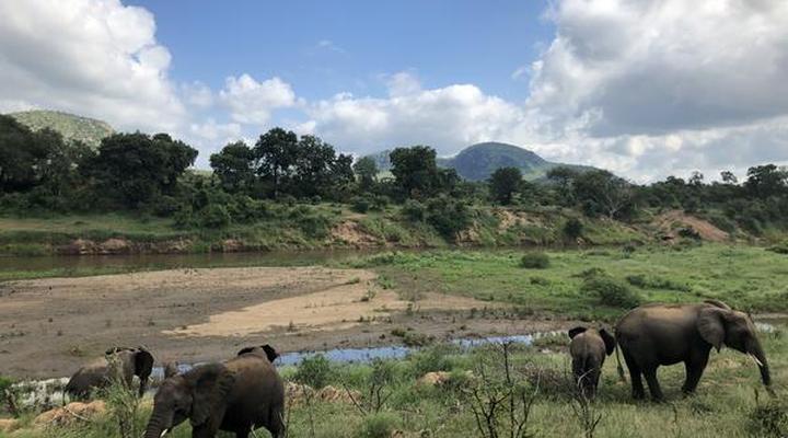 Hennie's Rest Guest House