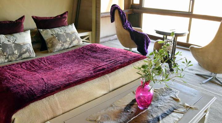 Thulani Game Lodge & Eco Estate