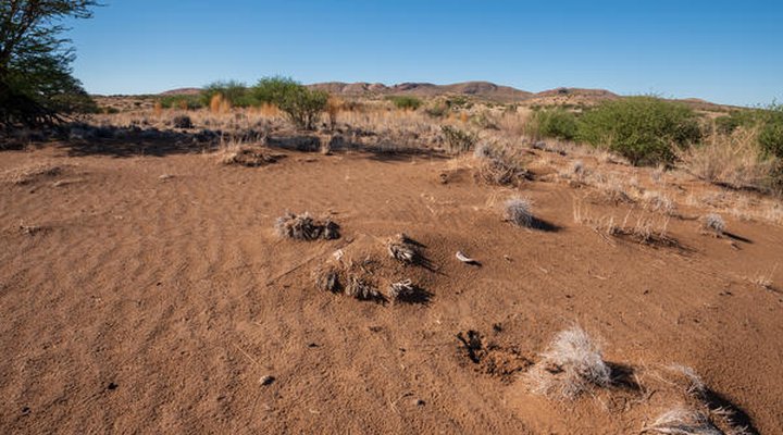 Duin in die Weg Guest Farm