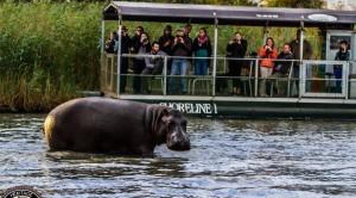 No 6 The Bridge Self Catering Apartment