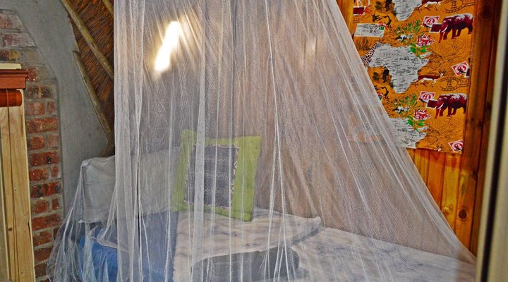 African Bush Backpackers