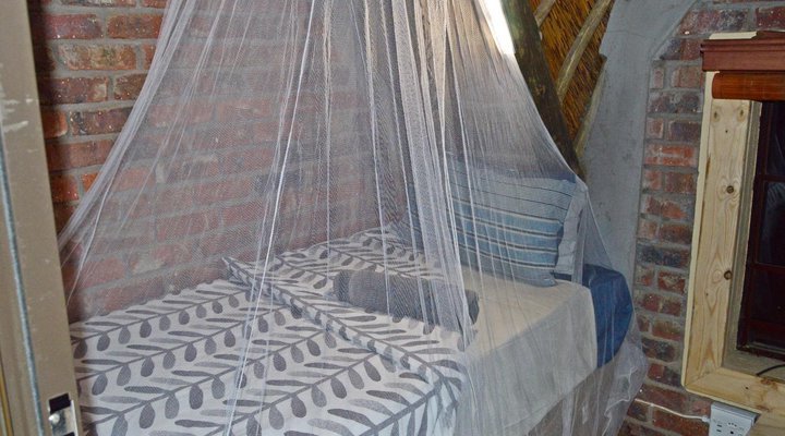 African Bush Backpackers