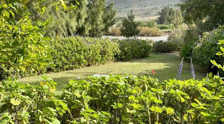 Kloofzicht Estate Country House - The Loft